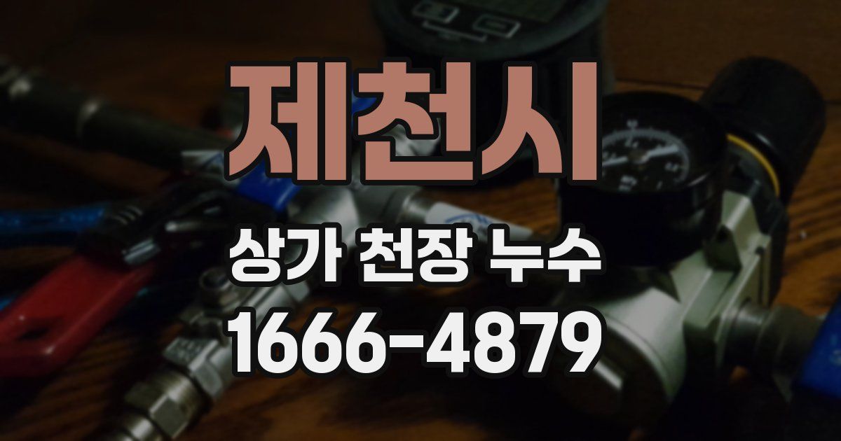 제천시 상가 천장 누수
