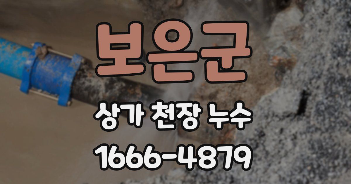 보은군 상가 천장 누수