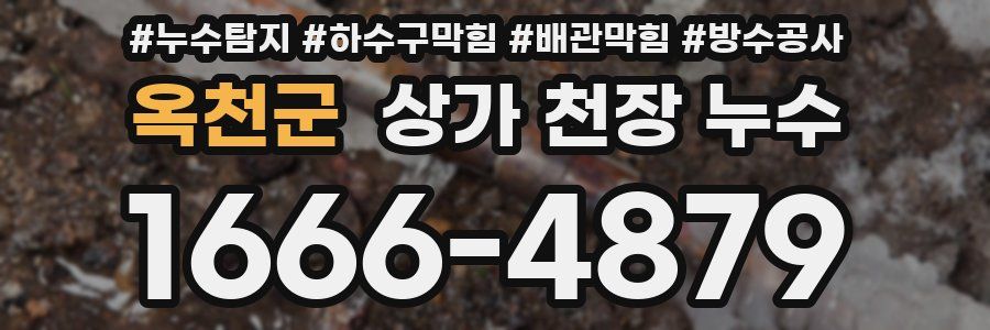 옥천군 상가 천장 누수