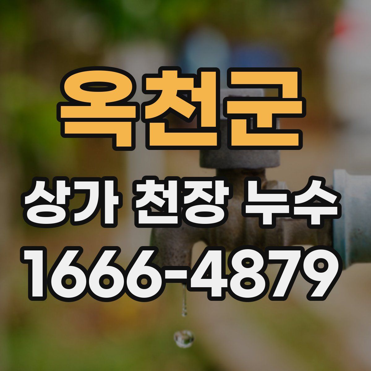 옥천군 상가 천장 누수