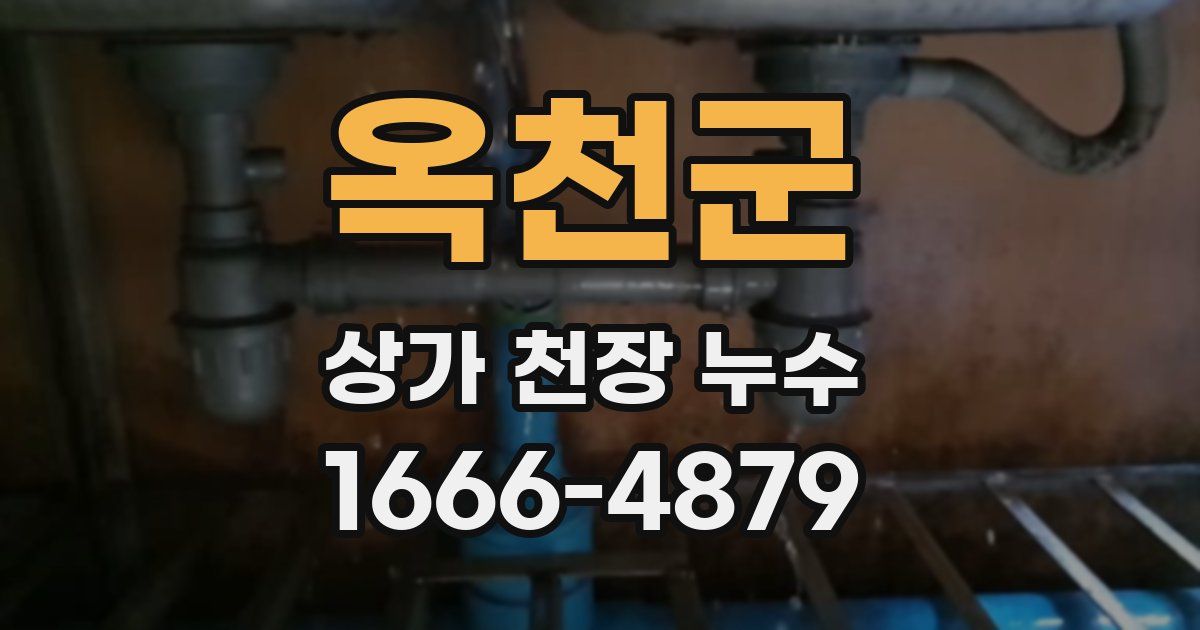 옥천군 상가 천장 누수