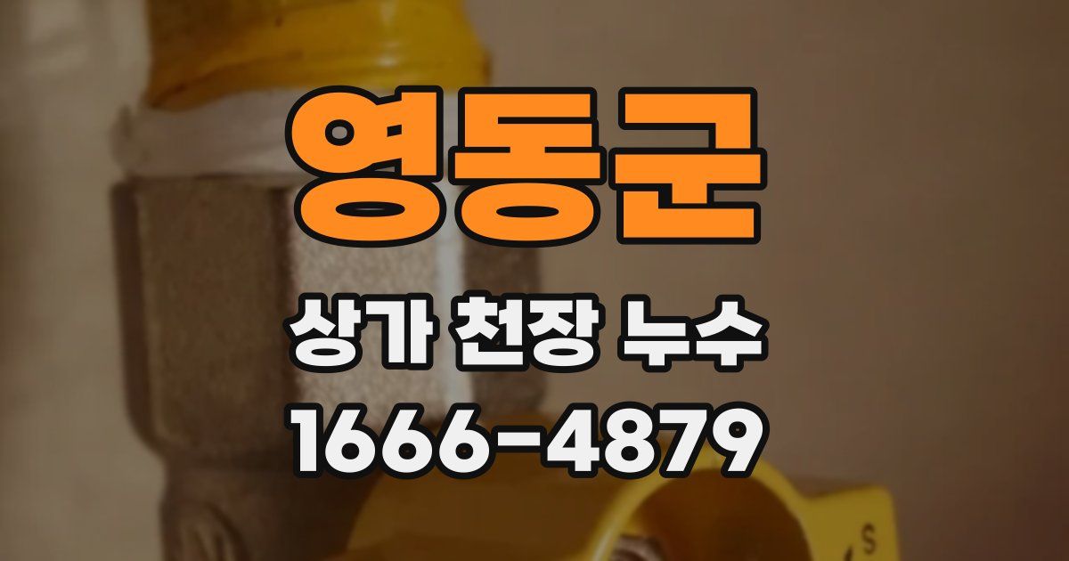영동군 상가 천장 누수