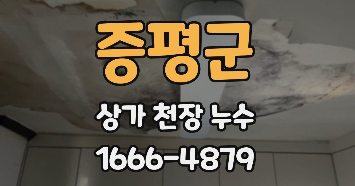 증평군 상가 천장 누수