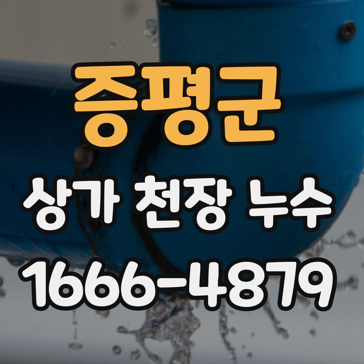 증평군 상가 천장 누수