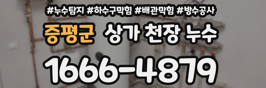 증평군 상가 천장 누수