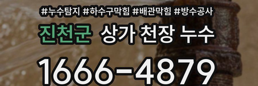 진천군 상가 천장 누수