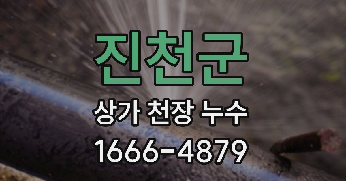 진천군 상가 천장 누수