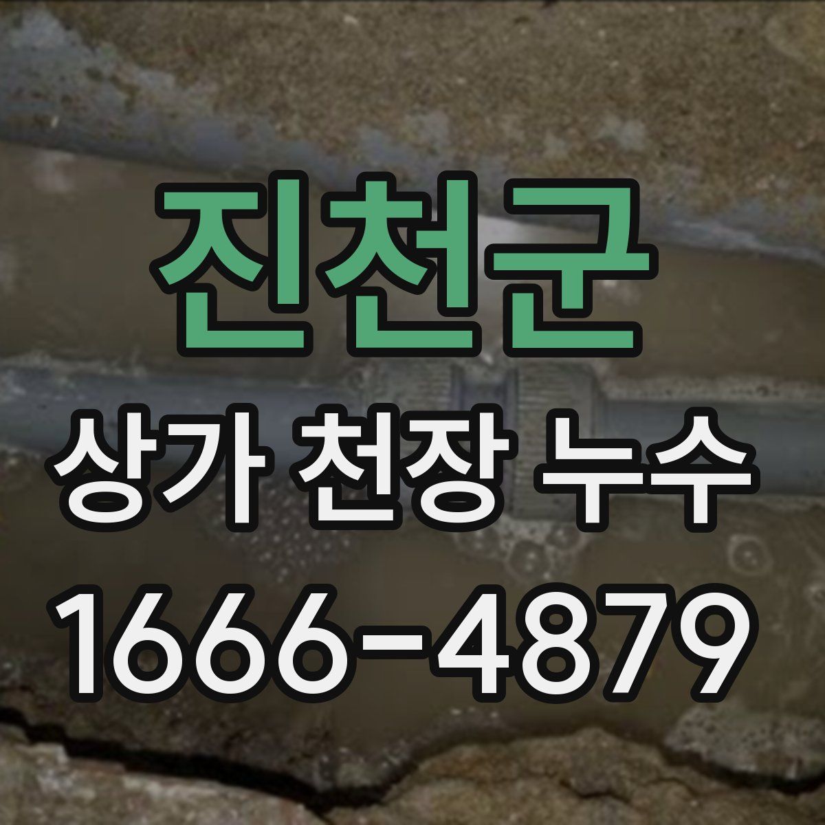 진천군 상가 천장 누수