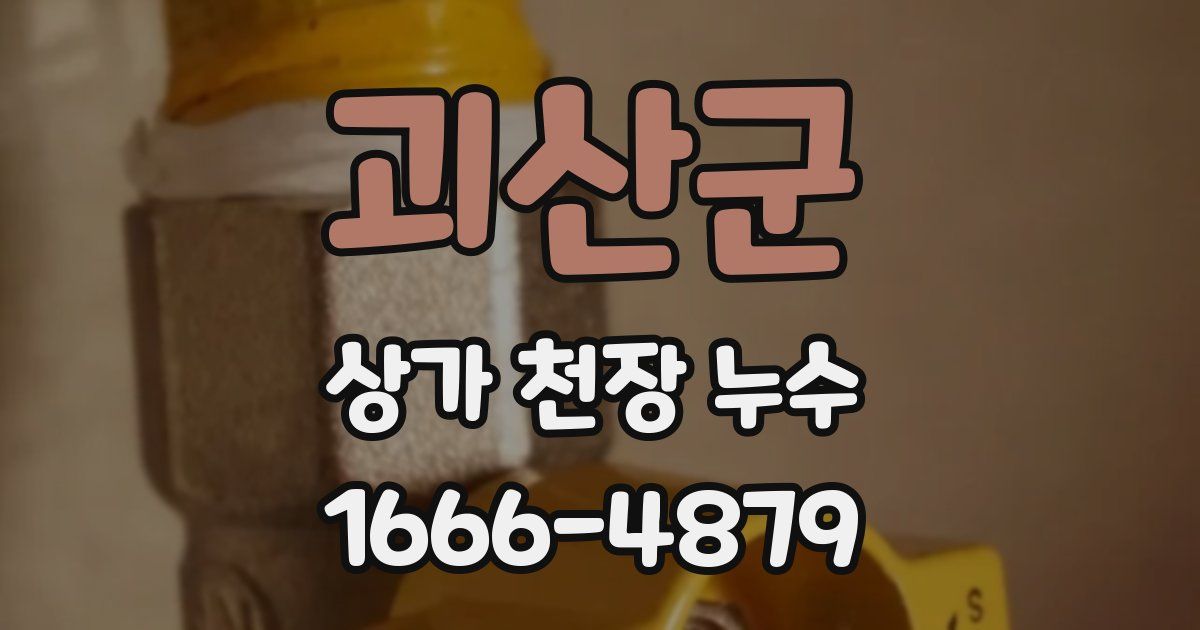 괴산군 상가 천장 누수