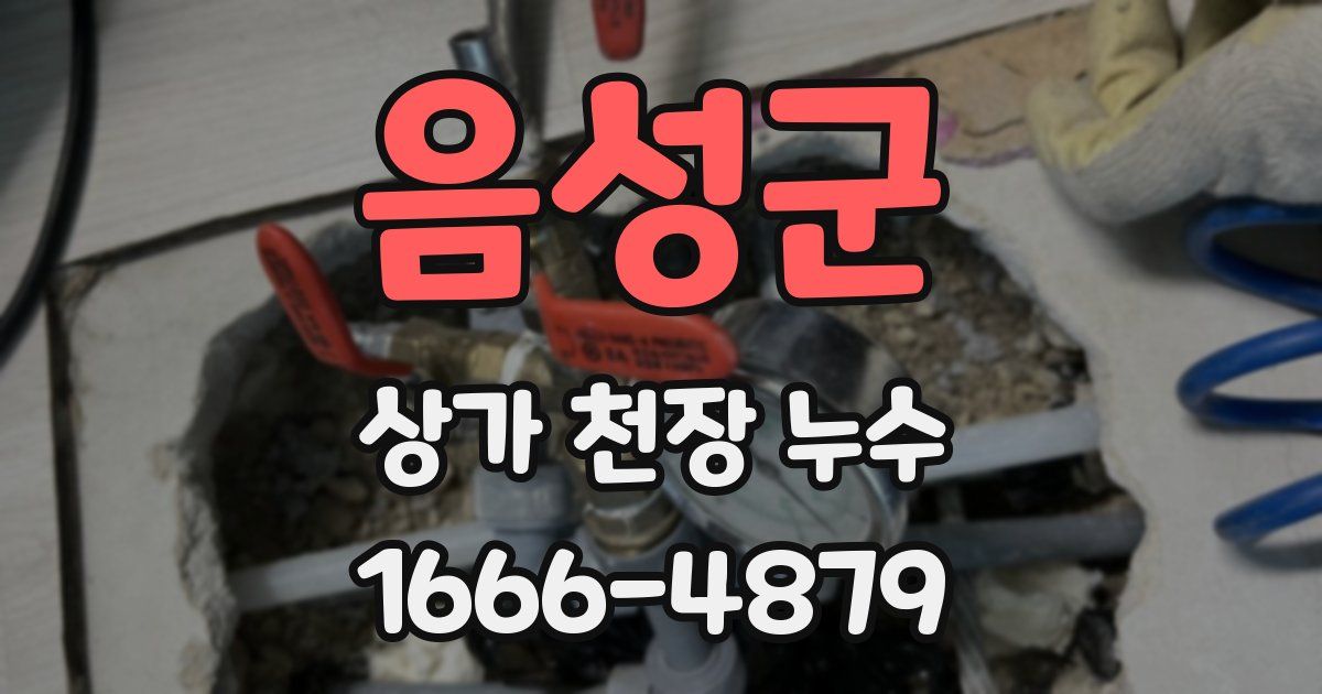음성군 상가 천장 누수