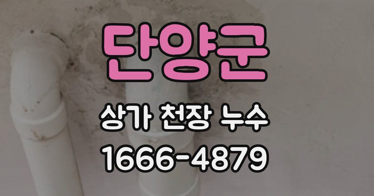 단양군 상가 천장 누수