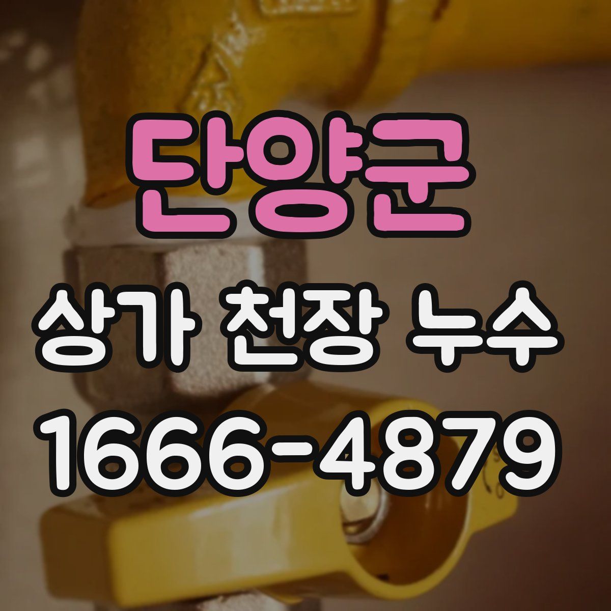 단양군 상가 천장 누수