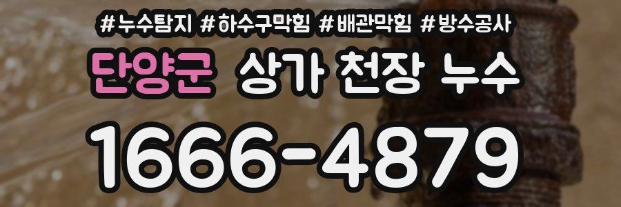 단양군 상가 천장 누수