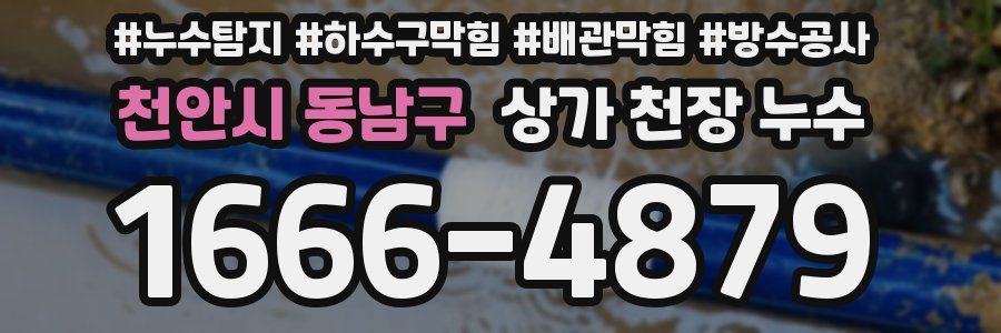 천안시 동남구 상가 천장 누수