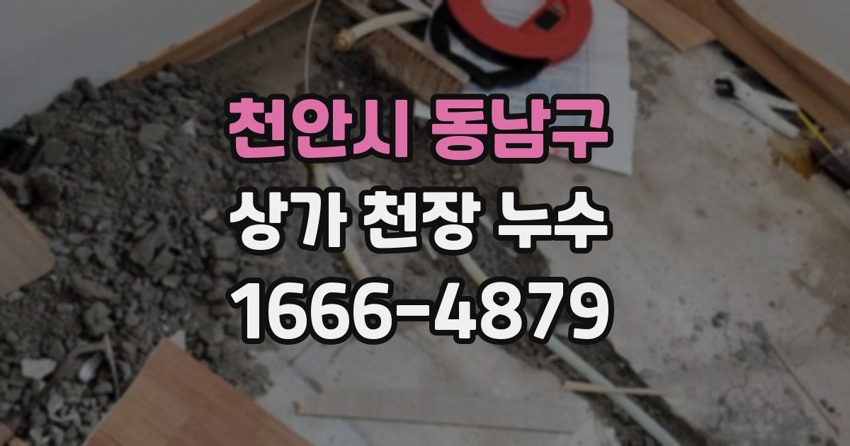 천안시 동남구 상가 천장 누수