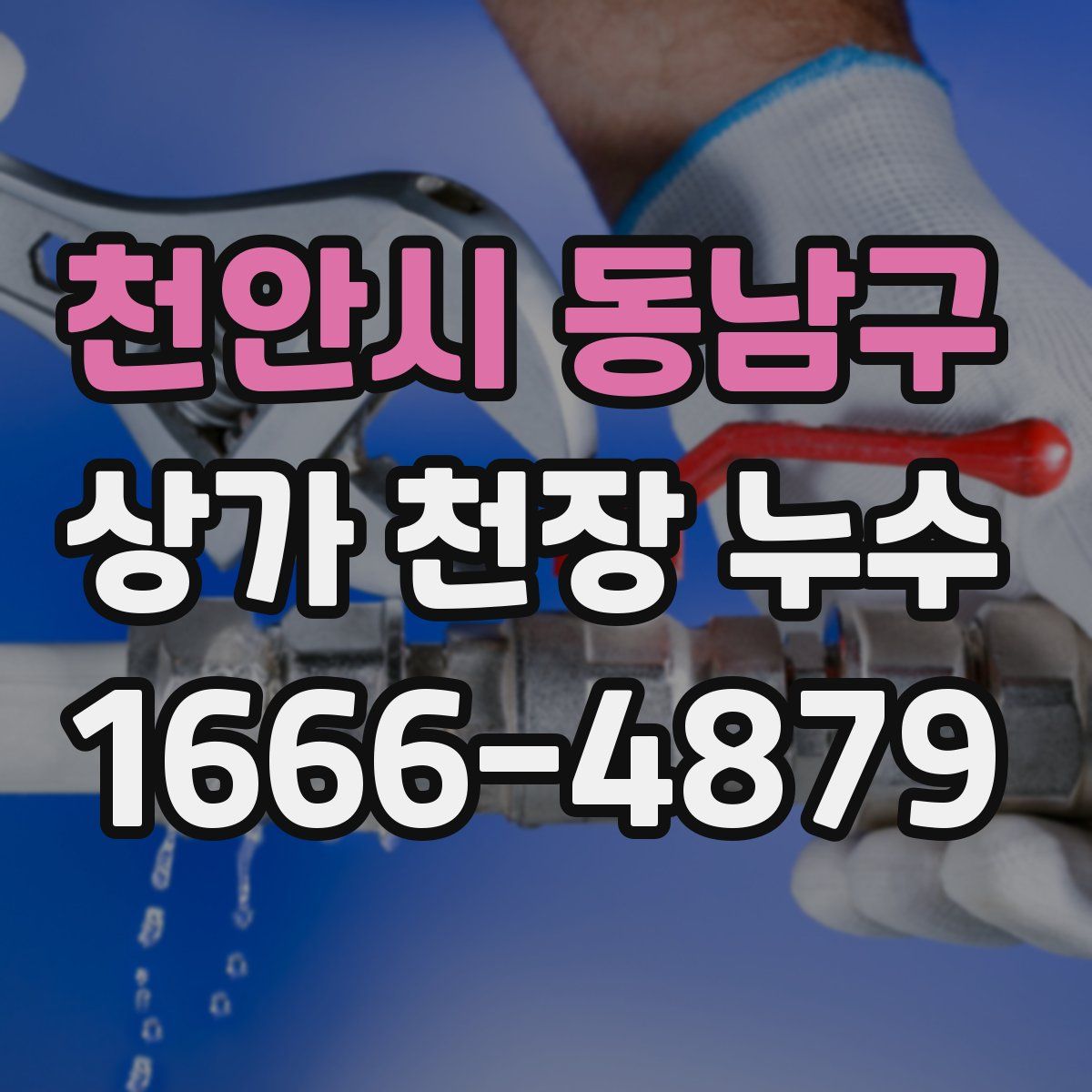 천안시 동남구 상가 천장 누수