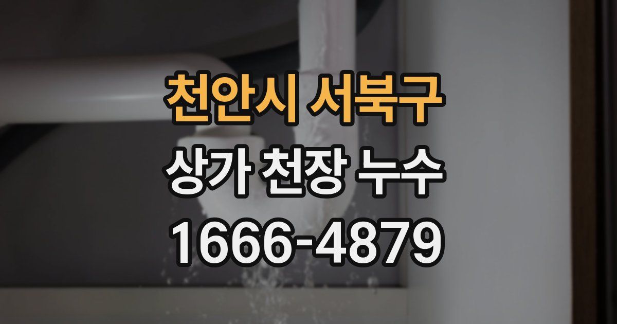 천안시 서북구 상가 천장 누수