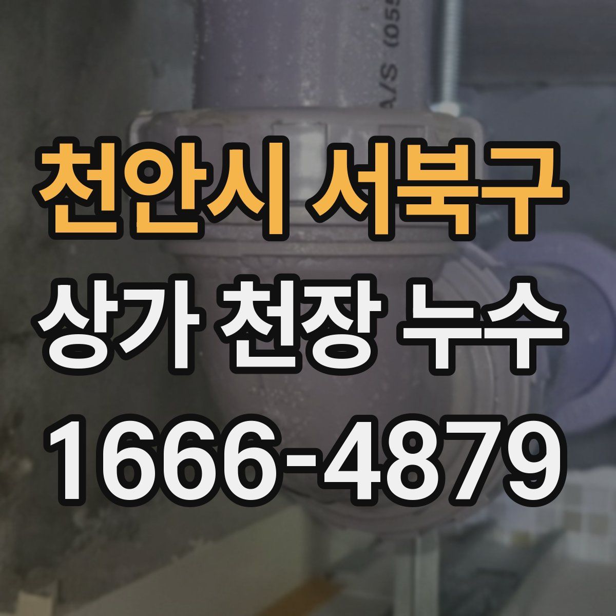 천안시 서북구 상가 천장 누수