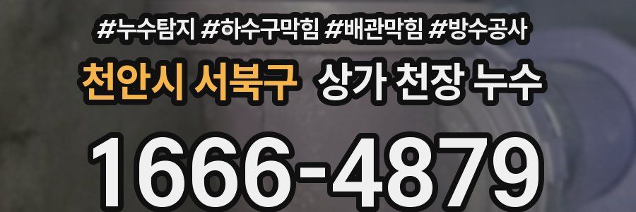 천안시 서북구 상가 천장 누수