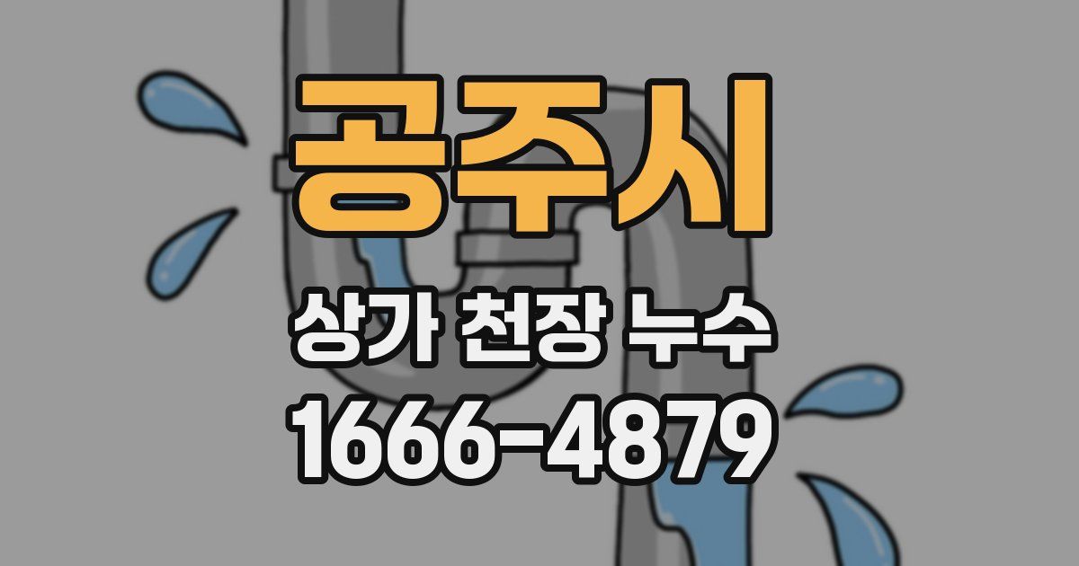 공주시 상가 천장 누수