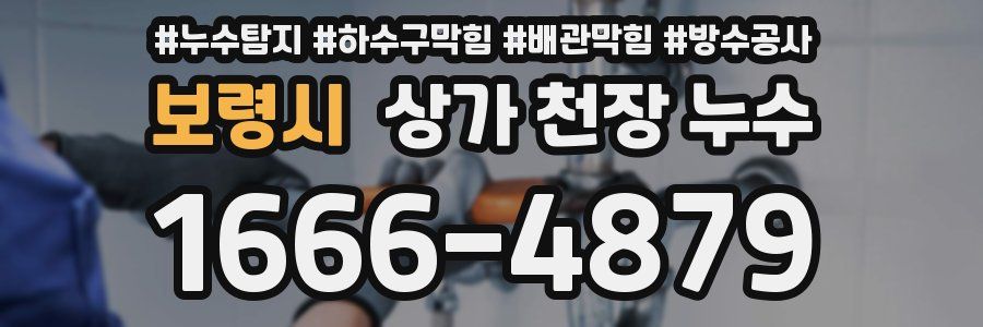 보령시 상가 천장 누수