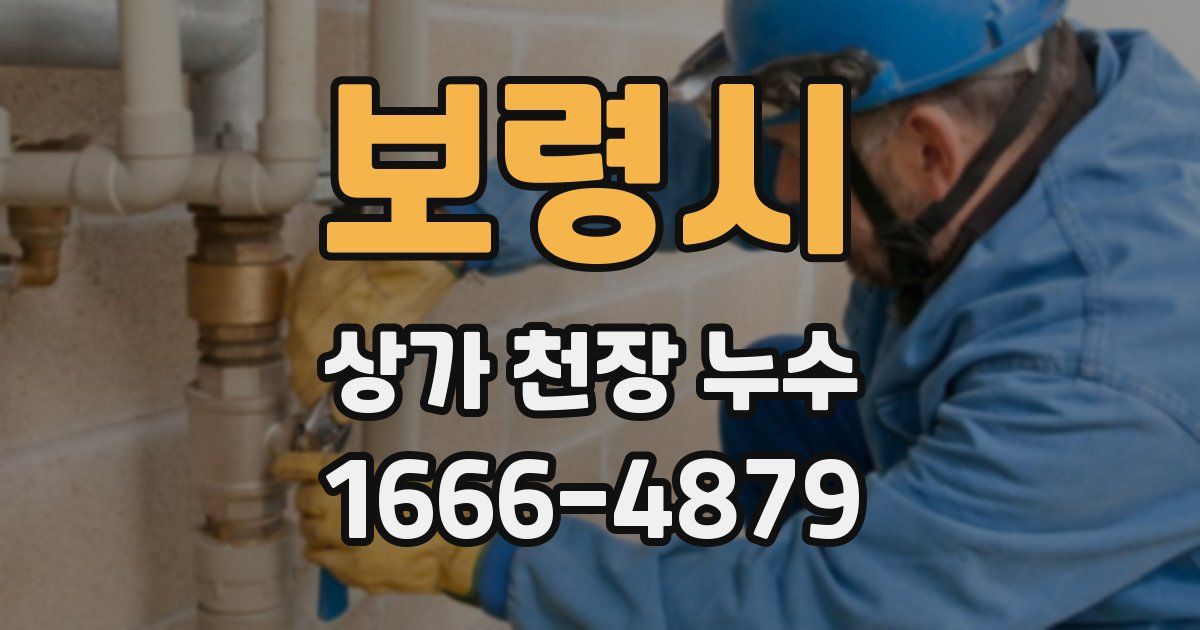 보령시 상가 천장 누수
