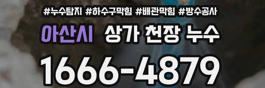 아산시 상가 천장 누수