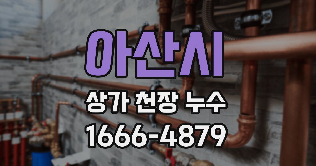 아산시 상가 천장 누수