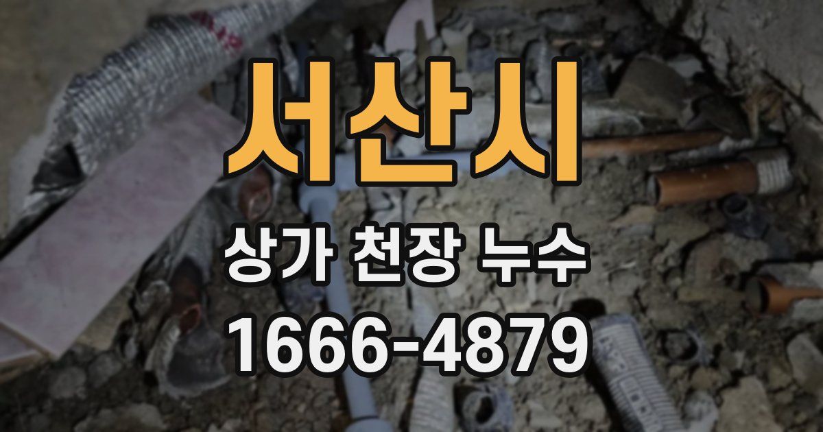 서산시 상가 천장 누수