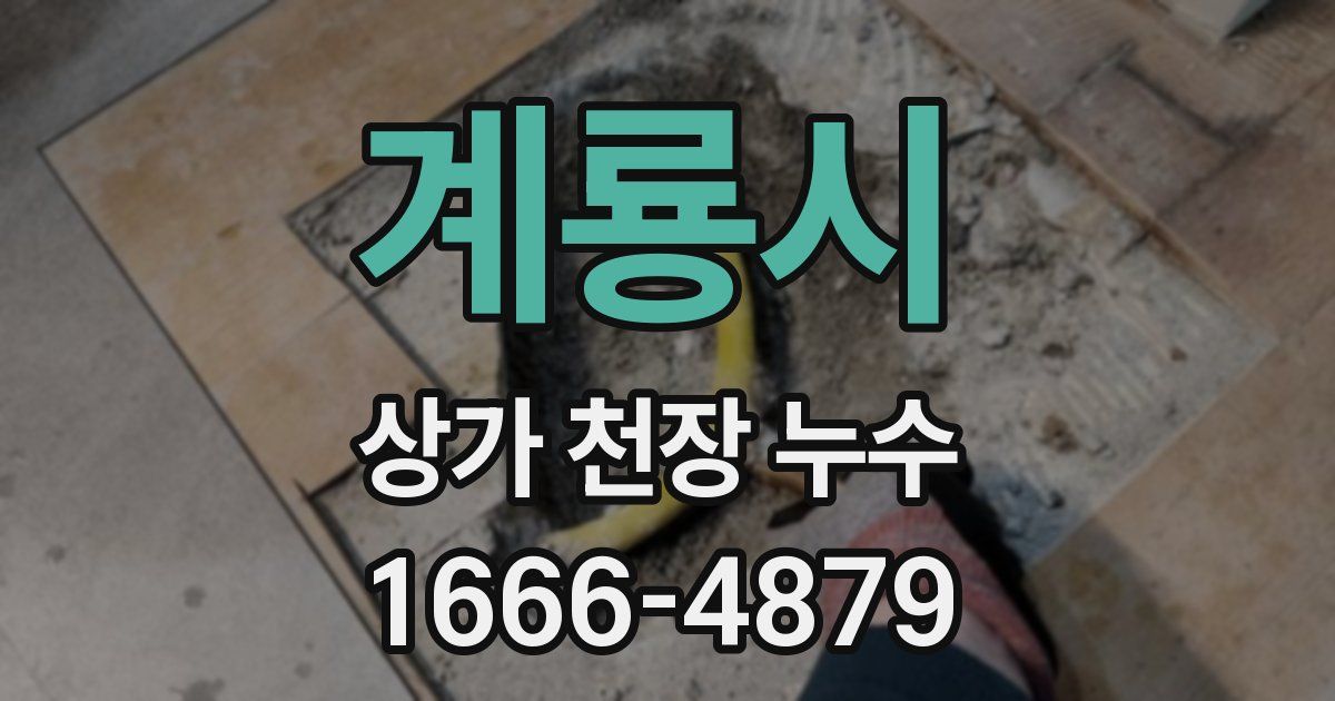 계룡시 상가 천장 누수