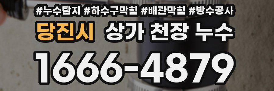 당진시 상가 천장 누수