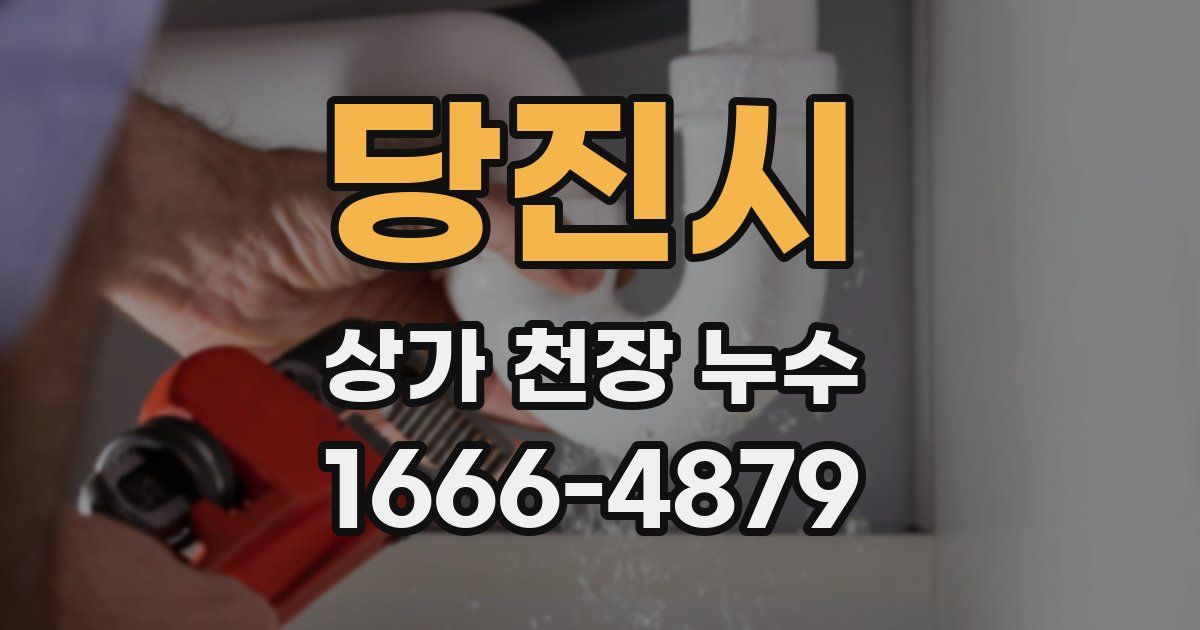 당진시 상가 천장 누수