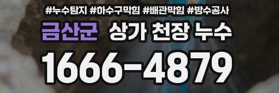 금산군 상가 천장 누수