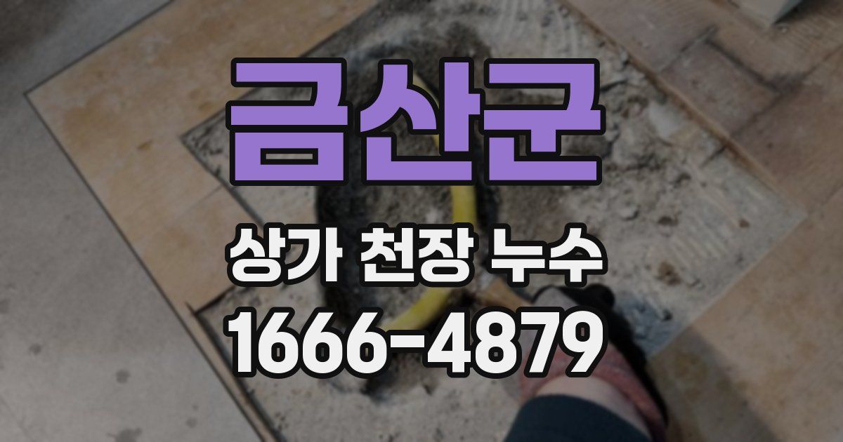 금산군 상가 천장 누수