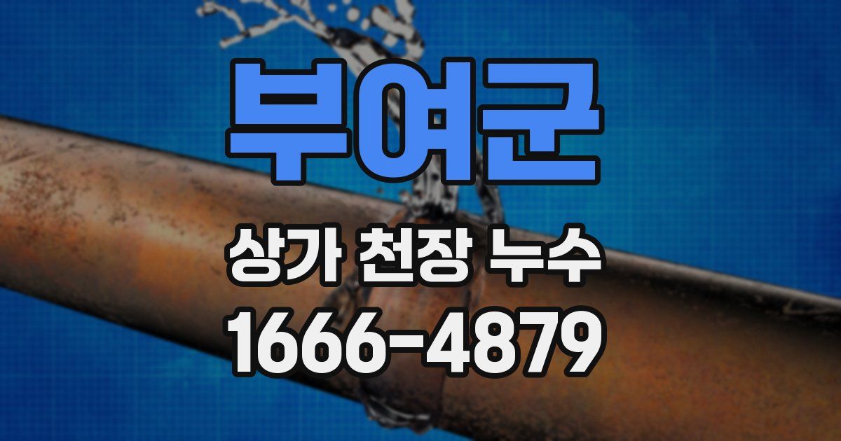 부여군 상가 천장 누수