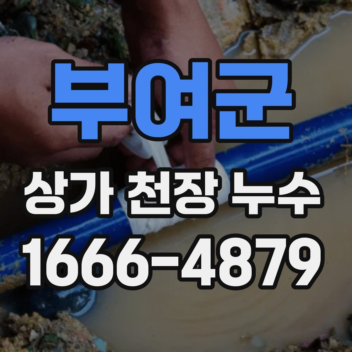 부여군 상가 천장 누수