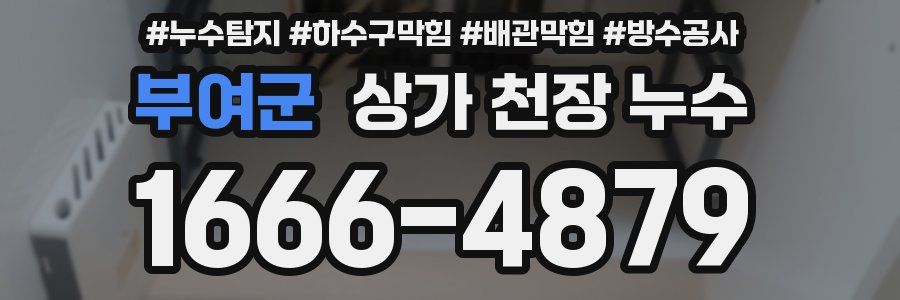 부여군 상가 천장 누수