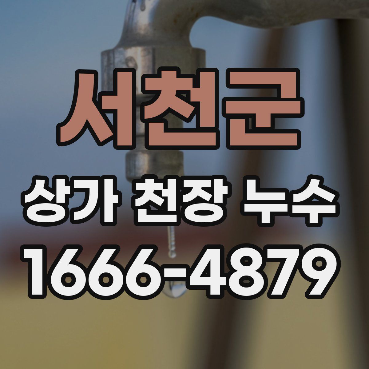 서천군 상가 천장 누수