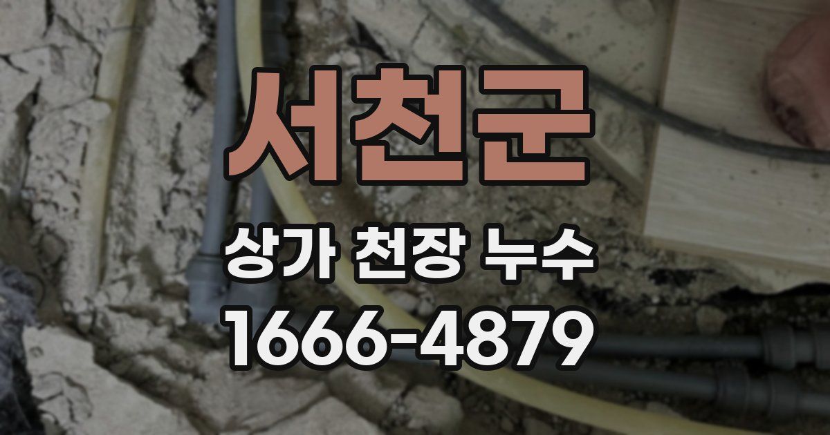 서천군 상가 천장 누수