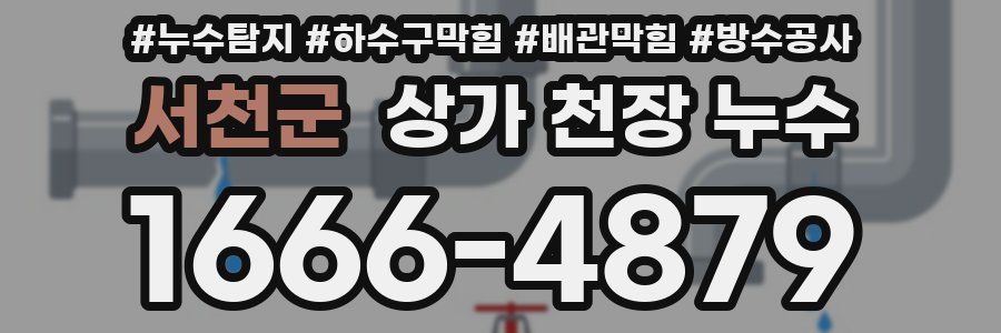 서천군 상가 천장 누수