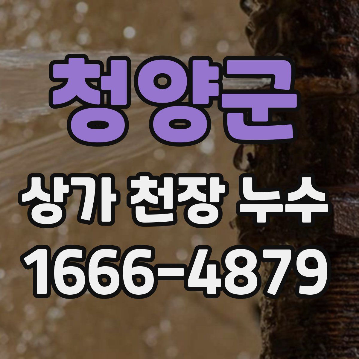 청양군 상가 천장 누수