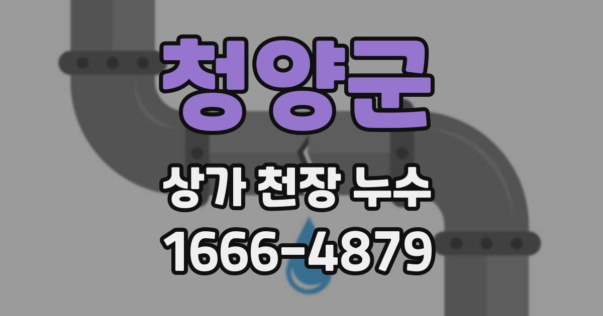 청양군 상가 천장 누수