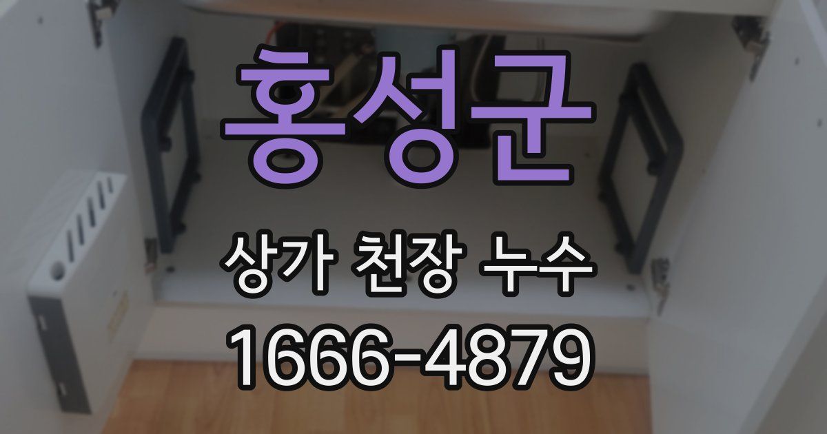 홍성군 상가 천장 누수