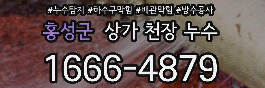 홍성군 상가 천장 누수