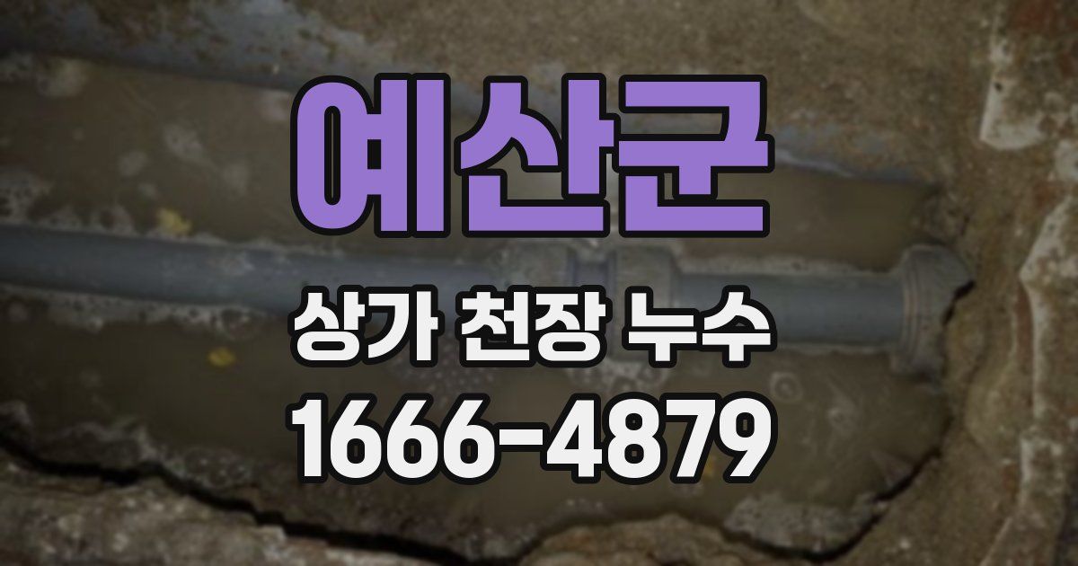 예산군 상가 천장 누수