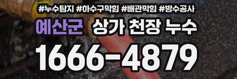 예산군 상가 천장 누수