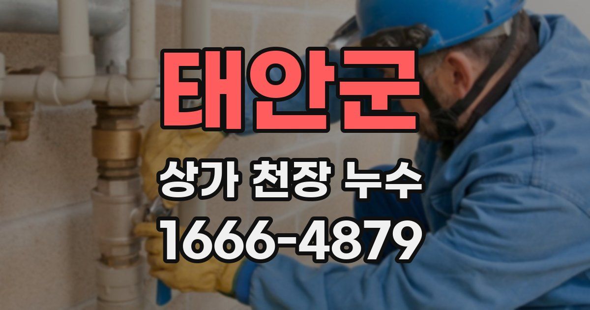 태안군 상가 천장 누수