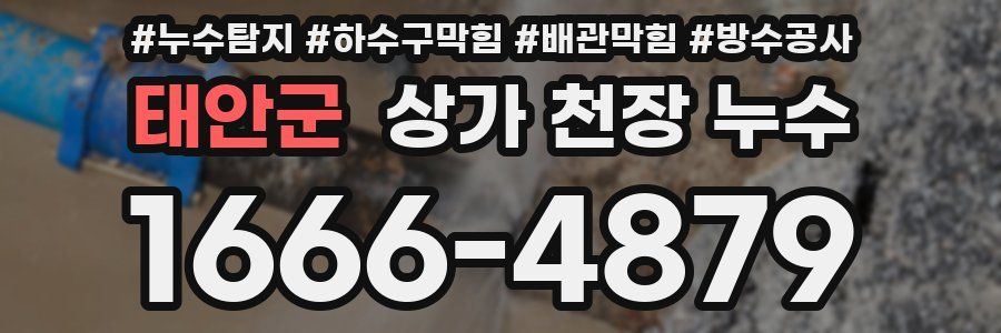 태안군 상가 천장 누수
