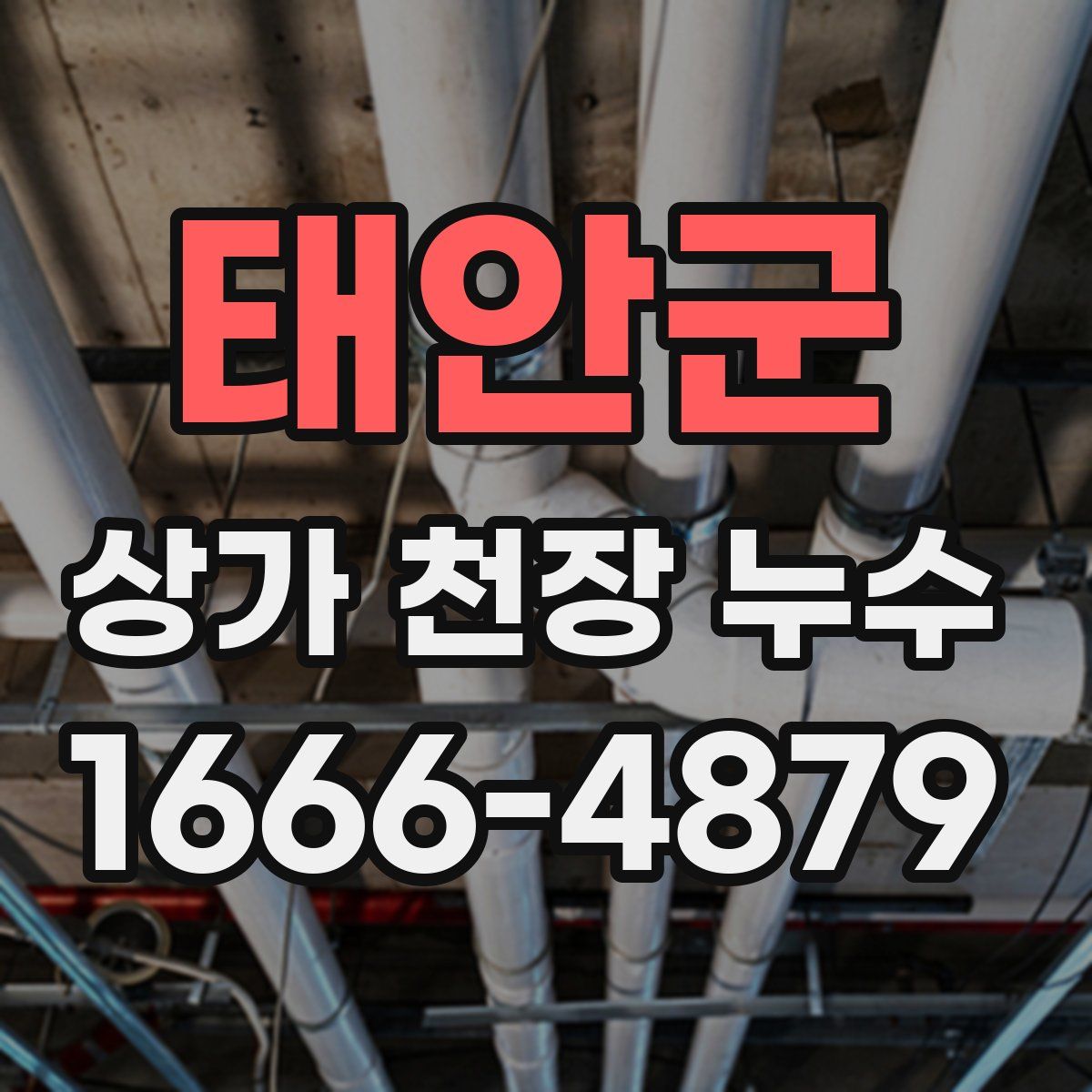 태안군 상가 천장 누수