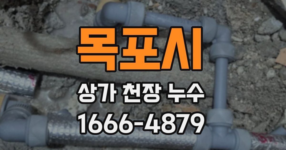 목포시 상가 천장 누수